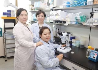 엄마가 섭취한 미세플라스틱…아이 면역 발달까지 흔든다