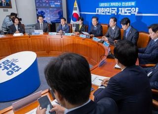 “서울 내주고 지방 노린다? 서울 지면 진 거다”