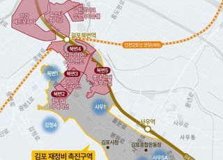 서울행 교통망·비규제 프리미엄…김포 신흥 주거타운 內 대원 ‘칸타빌 디 에디션’ 