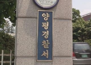 "돌보던 고양이 몸에 화살이"…무료 슬롯 사이트, 수사 착수