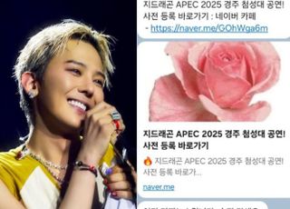 "지드래곤 APEC 첨성대 공연 게시물 조심하세요"