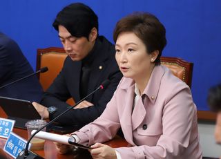 與이언주 "전세 3+3+3년, 당 공식 입장과 무관"