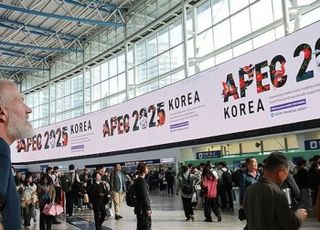 경찰 "사제총기 의심부품 통관 수사"…APEC 앞두고 테러 시도 가능성 촉각