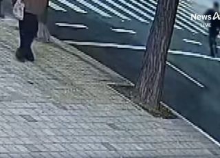 "대한민국에 먹칠했네"…30대 캐나다인, 강남 한복판서 만취 차량에 사망