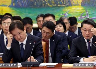 정무위 종합감사, 부동산 대책 공방...이찬진·이억원 ‘아빠찬스·갭투자’ 난타 [2025 국감]