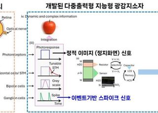 아주대 연구팀, 시각 정보 인식·판별 가능 '지능형 머신비전 기술용' 신소자 개발