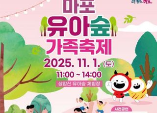 서울 마포구, 11월1일 '아이 손잡고 떠나는 숲속 축제' 개최