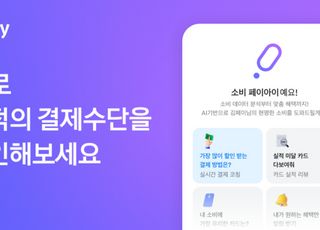 카카오페이, 카드·결제혜택 추천하는 ‘AI로 나만의 혜택 찾기’ 베타 서비스 출시