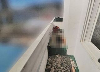 동거녀 살해 후 베란다에 암매장한 남성…징역 14년 확정