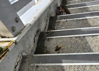 파라오 슬롯도, 보도육교·확장인도교 등 감사…183곳서 461건 지적