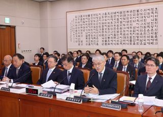 헌재-대법, 與 추진 '재판소원' 두고 이견…합법심 vs 4심제 [2025 국감]