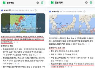 네이버 AI "독도는 일본 영토" 표기 논란…"인지 즉시 시정조치"