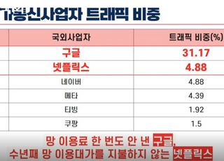 "남의 땅에서 장사하며 망 사용료 0원?" 구글 해명 진땀[2025 국감]