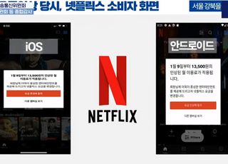 넷플릭스 요금 인상 고지 방식 '도마 위' [2025 국감]