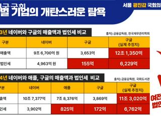 "구글, 네이버 보다 더 벌면서 법인세는?"[2025 국감]