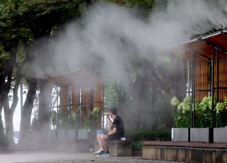 서울숲에 불 지르고 도주한 20대女 "호기심에…"