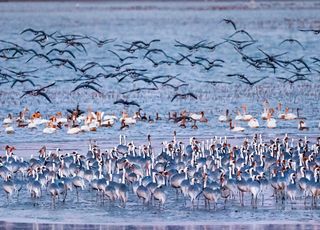 기후부, 11월 ‘이달의 생태관광지’에 창원 주남저수지 선정