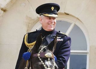 '성추문' 英 앤드류 왕자, 왕실 직함 박탈…왕실→사설 거주지로