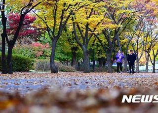 전국 흐리고 포근 '낮 최고 20도'…월요일 출근길 기온 뚝 '기온별 옷차림은?' [오늘 날씨]