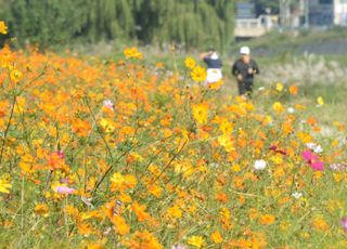 [오늘 날씨] 포근한 가을 날씨…밤부터 일부 지역 약한 비