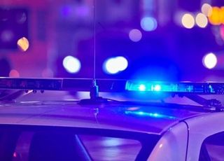 [속보] 음주운전 차량 인도 돌진, 일본인 모녀 '참변'…1명 사망·1명 경상