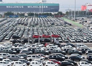 APEC 협상으로 '관세 리스크' 제거…'수출국 다변화' 가속화