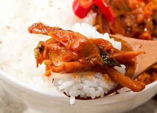 UAE 왕세자+대표단 '이 음식'에 푹 빠졌다...비밀 레시피 묻고 진공포장까지