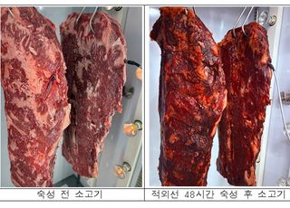농진청, 숙성 3주→2일로 단축한 ‘적외선 소고기 숙성 기술’ 공개