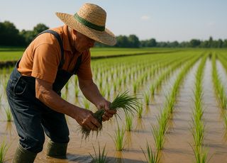 20조원 시대 앞둔 농업예산…공약 반영 속 현장 증액 요구 ↑