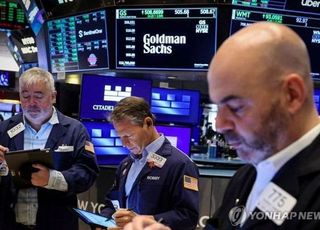 [속보] 뉴욕증시, AI 기술주 고평가 우려에 하락…나스닥 2.04%↓