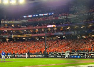 ‘성심당만 있나’ 프로스포츠 특별시로 급부상한 대전광역시