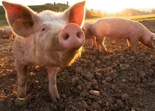 문제는 기술 아닌 ‘주민 불편’, 상생 모델 만들어야[가축분뇨 자원화④]