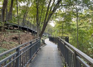 의정부시, 가을에 걷기 좋은 길 의정부 명소 5곳 추천