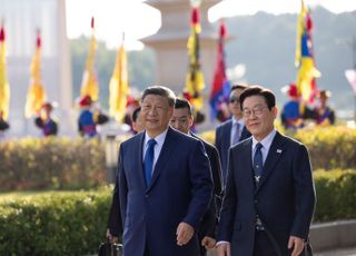 ‘팥소 없는 찐빵’ 한중 정상회담…“시진핑, 北 비핵화 언급조차 없어”