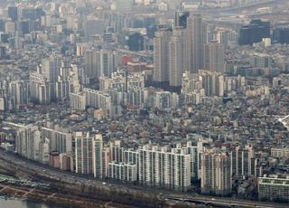 “고분양가에 대출도 막혀” 수도권 비규제지역 분상제 단지 관심 ‘업’