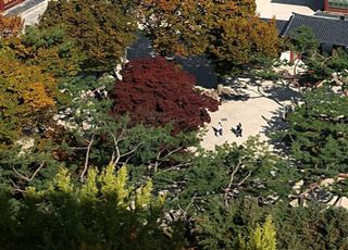 [내일날씨] '입동' 하루 앞두고 대체로 맑은 날씨…일교차 조심