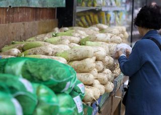 ‘배추만 잡고 끝?’ 매년 반복되는 김장물가 대책 부작용