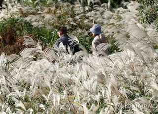 '입동' 출근길 짙은 안개 낮 포근...수험생 척추 건강 지키는법 [오늘 날씨]