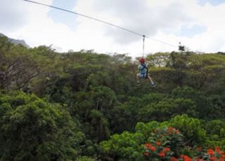"집라인 타던 父子가 죽었다"...왜?