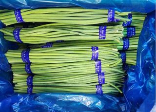 삭약처, 잔류농약 초과 검출 ‘수입 농산물’ 회수 조치