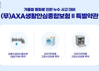 “올해 겨울 더 빨라진다”…동파·누수 대비 ‘생활안심보험’ 주목
