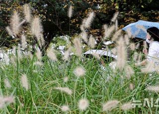 '낮 최고 21도' 전국 흐린 뒤 곳곳에 비…본격적인 겨울, 먹어야 하는 영양제는? [오늘 날씨]