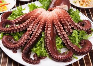 겨울 제철 문어, 몸에 좋은 이유는? "이것 풍부해" [슬롯 사이트 헬스]