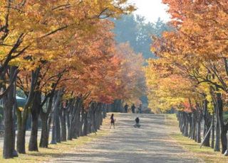 오후부터 추워져 '쌀쌀'…내일 출근길 기온 '뚝' [오늘 날씨]