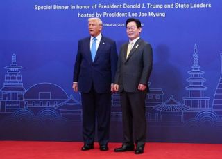 발표 시기 '깜깜' 한미 관세 팩트시트…대체 언제쯤 나오나