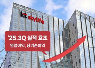 KT스카이라이프 3Q 영업익 165억…전년비 793.3% 증가