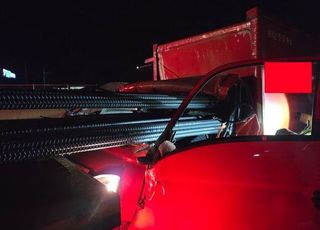 [속보] 경부고속도로 천안휴게소 인근서 화물차 추돌…50대 운전자 사망