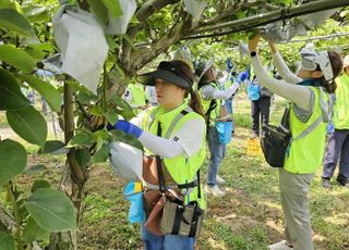 농협, 가을 수확철 맞아 '농촌일손돕기' 추진