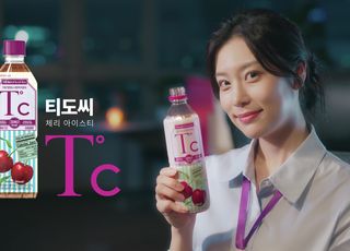 차음료 시장 30% 급성장…RTD·스틱·프리미엄 티백까지 진화