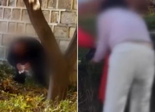 "쪼그려 앉더니…" 대낮 경복궁 돌담에 용변 본 男女 정체